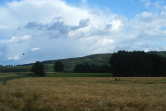 PIC_0180