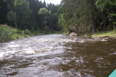 IMGP5598