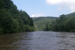2012-07-07-14-07-09_00213